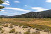 Tunnel Meadow near the junction with Tunnel Cutoff Trail.