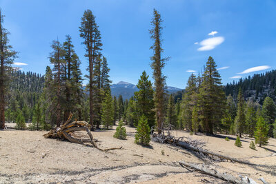Kern Peak in the distance from Tunnel Cutoff Trail.