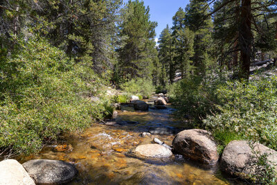 Crossing Golden Trout Creek.
