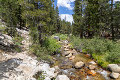 Along the crystal clear waters of Golden Trout Creek.