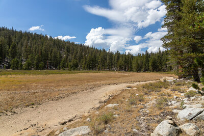 A dry meadow along Barigan Stringer.