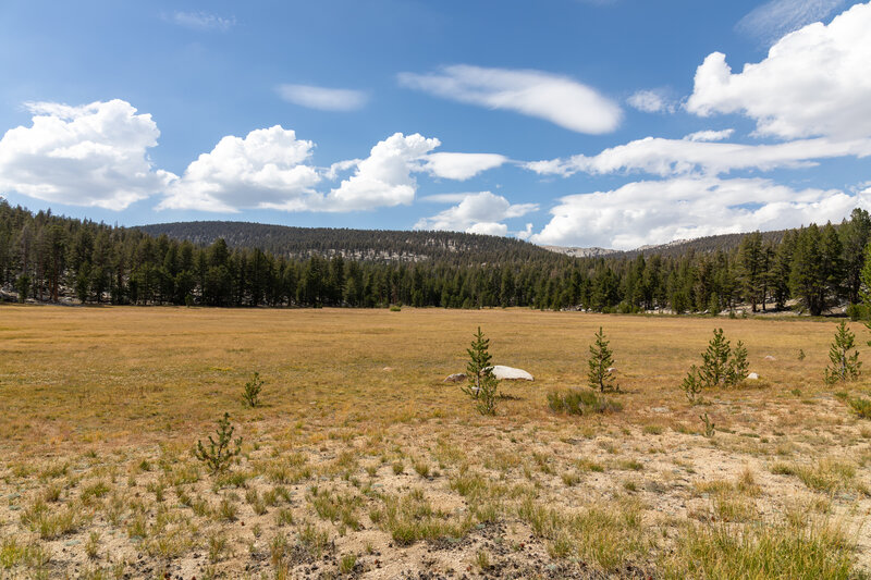 The northernmost meadow along Rocky Basin Lakes Trail.