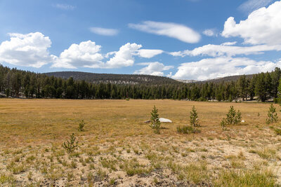 The northernmost meadow along Rocky Basin Lakes Trail.