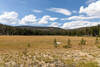 The northernmost meadow along Rocky Basin Lakes Trail.