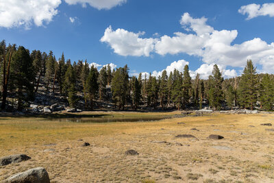 Lake and meadow along Rocky Basin Lakes Trail.