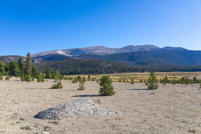 Cresting the sandy banks along Big Whitney Meadow with a stunning view of Cirque Peak.