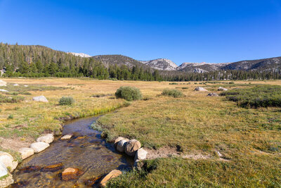 Crossing Golden Trout Creek within Big Whitney Meadow.