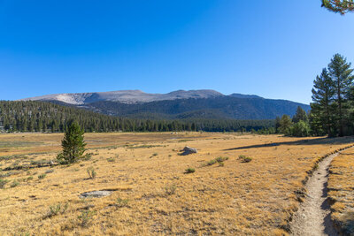 The full expanse of Big Whitney Meadow with Cirque Peak's bare top in the distance.
