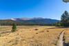 The full expanse of Big Whitney Meadow with Cirque Peak's bare top in the distance.