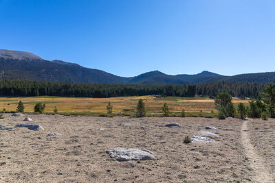 Cottonwood Pass on the horizon.