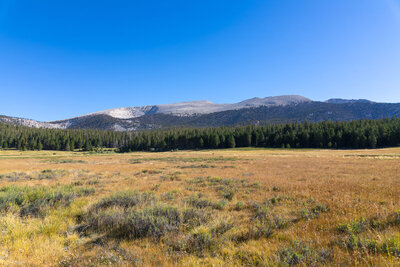 Cirque Peak's bare crest.