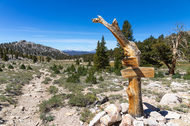 The junction of Cottonwood Pass Trail and the Pacific Crest Trail.