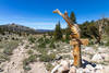 The junction of Cottonwood Pass Trail and the Pacific Crest Trail