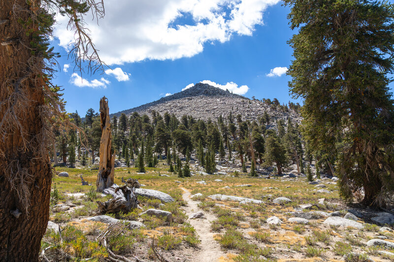 An unnamed peak along the Pacific Crest Trail.