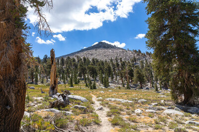 An unnamed peak along the Pacific Crest Trail.