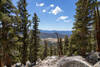 Mulkey Meadows through a gap in the trees.