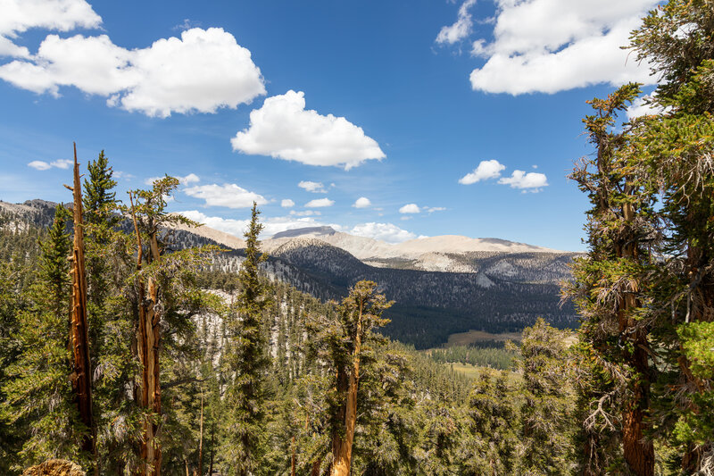 The Sierra Crest near Mount Langley from the northern side of Trail Peak.