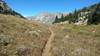 Looking north from the saddle just above Reynolds Creek, the tops of the Reynolds Creek canyon walls, are seen.