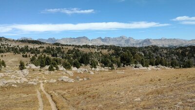 Another great view of the distant "spine" of the Wind River Range. Seen looking east, the tree covered south shoulder of Doubletop Mountain is in the foreground.