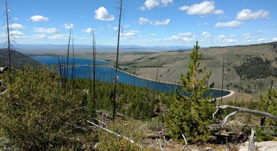 New Fork Lake nearby below, and the Wyoming Range in the distance, make for a great view, when descending the switchbacks in this regenerating burn area (2008 New Fork fire).