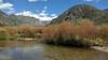 The New Fork River with an abundance of spawning Kokanee salmon, the willow infested,  grassy river valley bottom, and the beginning of the New Fork Canyon (center) with its steep cliffs,in the distance