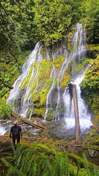 Panther Creek Falls
