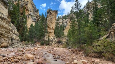 Confluence of Rattlesnake and Ashdown