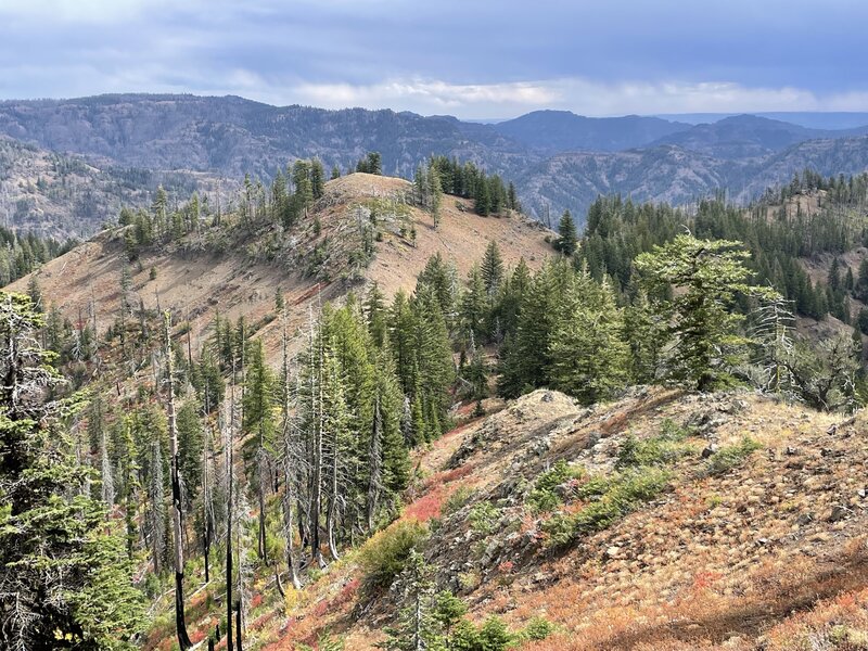 Grizzly Bear Ridge