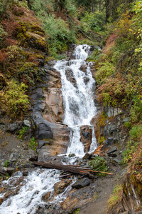 BC Creek Falls cascades down a sheer, tiered rock face through dense evergreen forest.