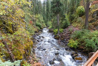 Looking upstream from the center of the footbridge as the West Fork Wallowa River churns through a boulder-strewn chute.