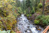 Looking upstream from the center of the footbridge as the West Fork Wallowa River churns through a boulder-strewn chute.