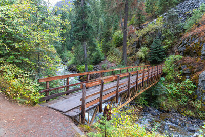 Approaching the sturdy wooden-and-steel footbridge where the Chief Joseph Trail crosses the rushing West Fork Wallowa River.