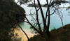 Trail down to West Head beach & looking out to Barrenjoey Headland