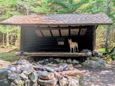 Lost Pond Lean-to