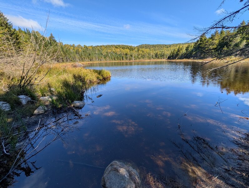 Lost Pond