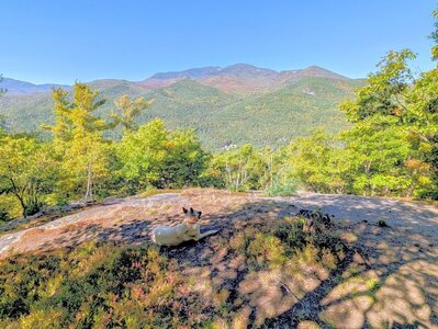 View from top of Mt. Gilligan.