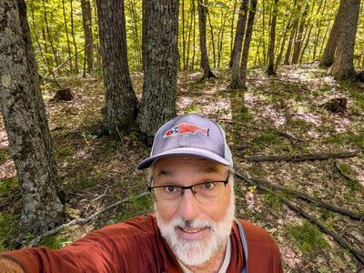 Mt. Gilligan wooded summit.