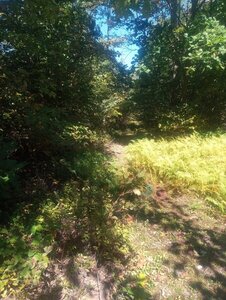 A little steeper and close toward the end of the trail.