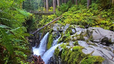 Sol Duc Falls