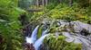 Sol Duc Falls