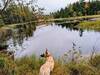End of trail at beaver pond.