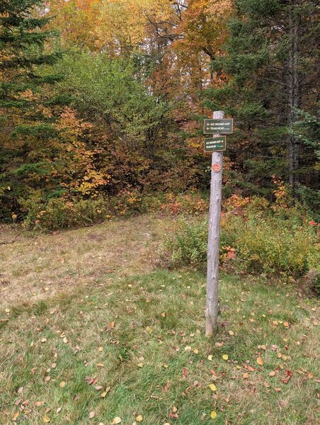 Short path to jeep trail.