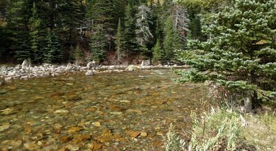 Belly River in late September, near the horse ford.
