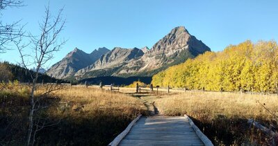 The Natoas Peak group (left), Cosley Ridge (left of center), and Cosley Point (just right of center) and the closest. Seen looking south-southwest from the meadows around the ranger station.