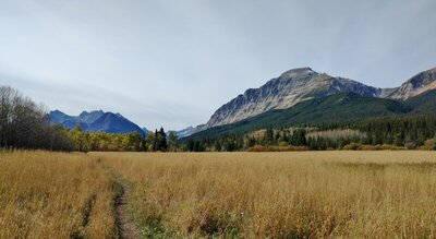 Heading through the meadows, approaching the Belly River, with views of nearby Bear Mountain, 8,841 ft. (right), and distant mountains.