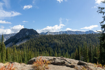Resting on a sunlit granodiorite outcrop at 7,381 ft along the Chimney Lake Trail, an incredible panoramic vista unfolds across a rolling sea of green treetops filling the upper Lostine River basin.