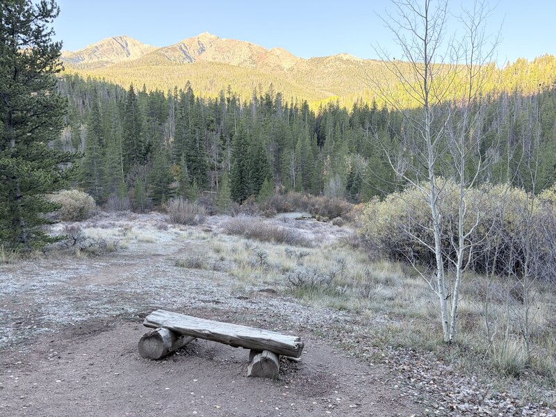 Bench