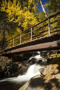10/9/26 - The bridge as the trail crosses over the North Fork of Big Pine Creek. The cottonwoods, water birch, and other plants provide beautiful fall colors.