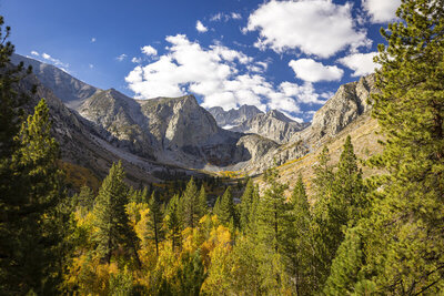 10/9/26 - The view up the valley of the South Fork of Big Pine Creek towards Middle Palisade and Norman Clyde mountains. Early October provides great fall colors!