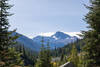 Emerging from the timber at 6,998 feet near the entrance of the long subalpine meadow, a natural window through spire-topped Engelmann spruce and subalpine fir frames the distant destination: Eagle Cap.